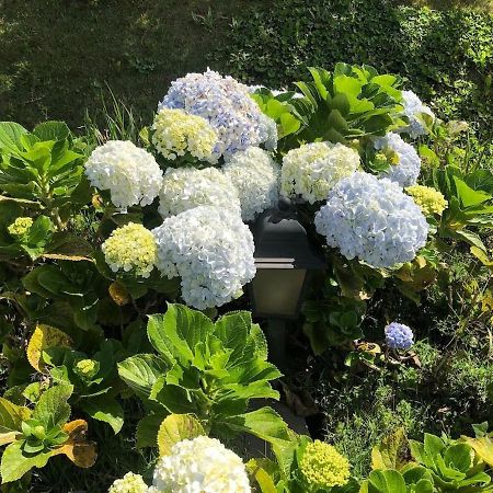 Macondo Chales Lavras Novas Εξωτερικό φωτογραφία