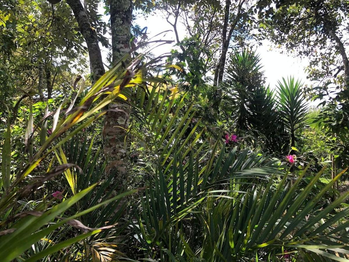Macondo Chales Lavras Novas Εξωτερικό φωτογραφία