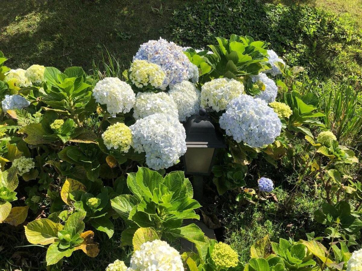 Macondo Chales Lavras Novas Εξωτερικό φωτογραφία
