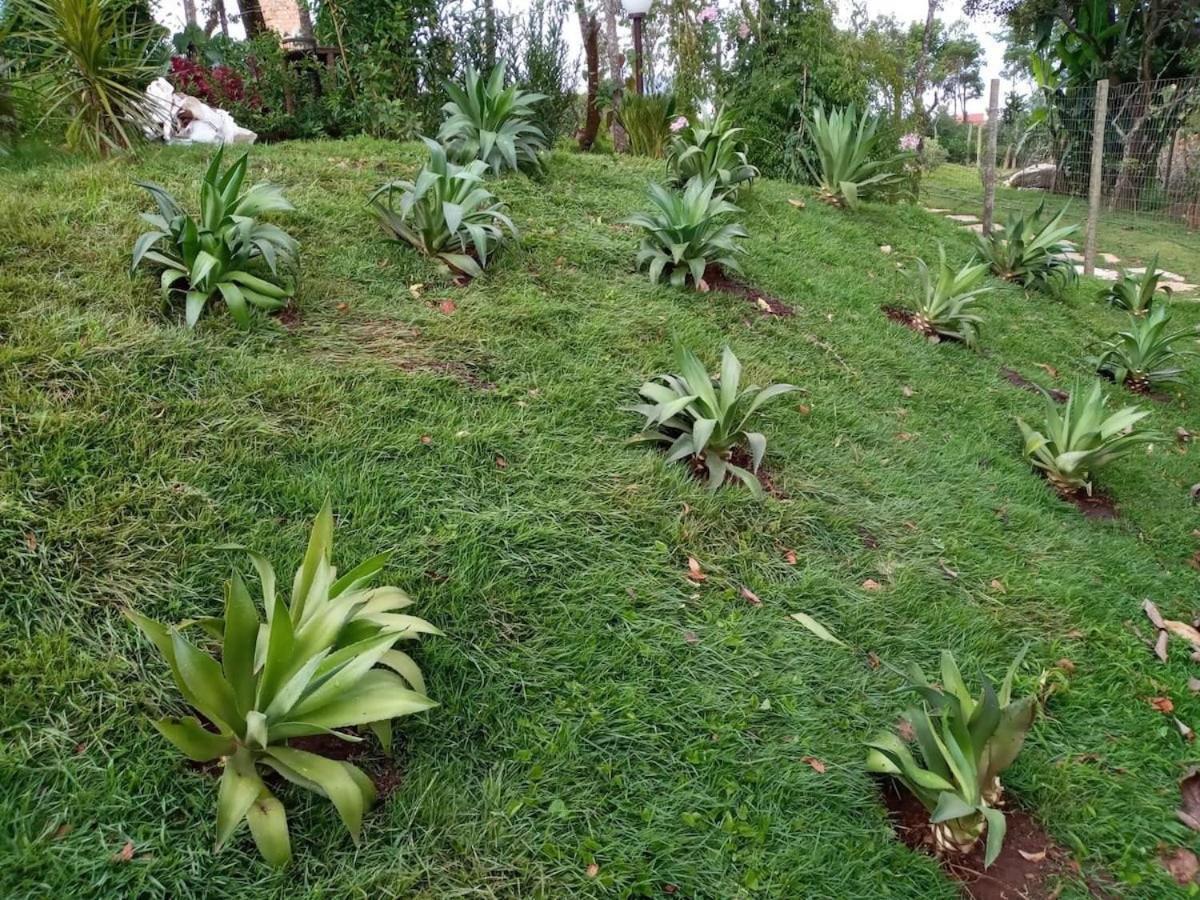 Macondo Chales Lavras Novas Εξωτερικό φωτογραφία